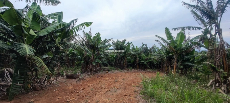 Rolante - 1 hectare - Glória: 7ª foto da galeria de imagens do imóvel