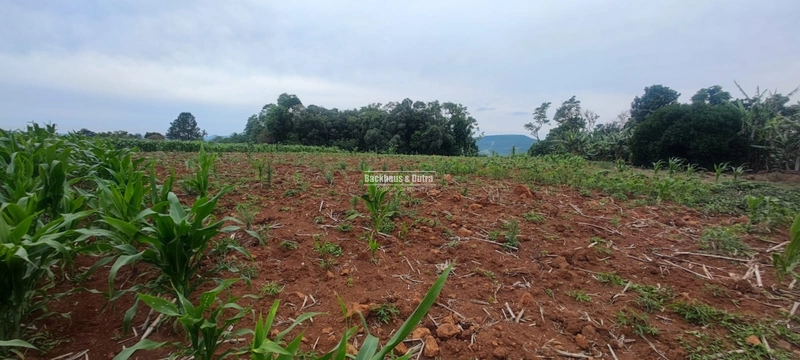 Rolante - 1 hectare - Glória: 1ª foto da galeria de imagens do imóvel