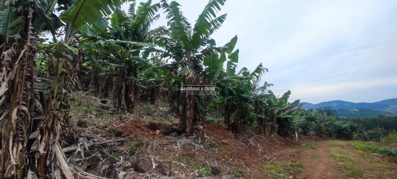 Rolante - 1 hectare - Glória: 4ª foto da galeria de imagens do imóvel