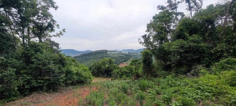 Rolante - 1 hectare - Glória: 6ª foto da galeria de imagens do imóvel