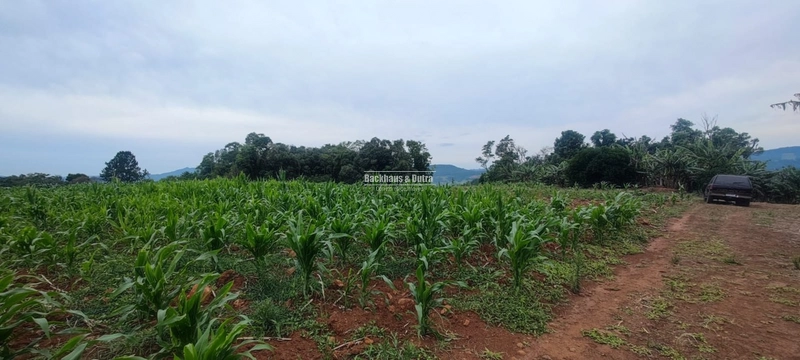 Rolante - 1 hectare - Glória: 5ª foto da galeria de imagens do imóvel