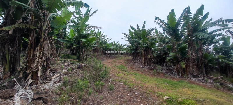 Rolante - 1 hectare - Glória: 2ª foto da galeria de imagens do imóvel