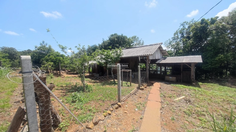 Rolante - Chácara 15.000 M² - Morro Grande: 17ª foto da galeria de imagens do imóvel
