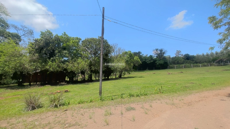 Rolante - Chácara 15.000 M² - Morro Grande: 14ª foto da galeria de imagens do imóvel