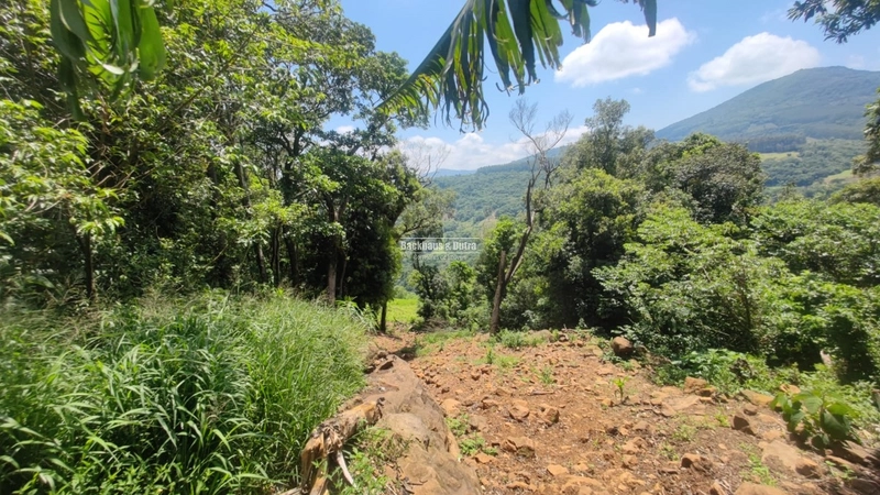 Rolante - Chácara 15.000 M² - Morro Grande: 15ª foto da galeria de imagens do imóvel