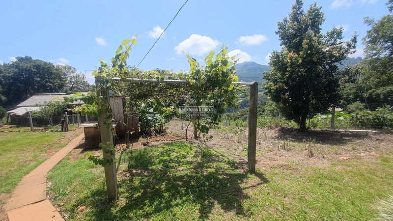Rolante - Chácara 15.000 M² - Morro Grande: 20ª foto da galeria de imagens do imóvel