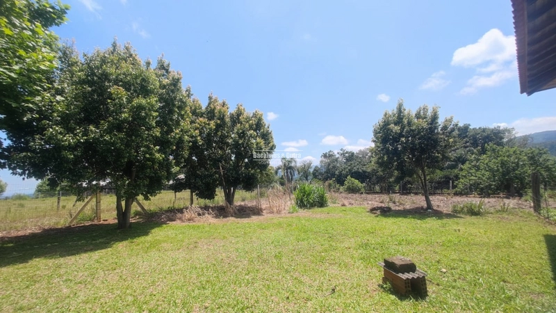 Rolante - Chácara 15.000 M² - Morro Grande: 13ª foto da galeria de imagens do imóvel