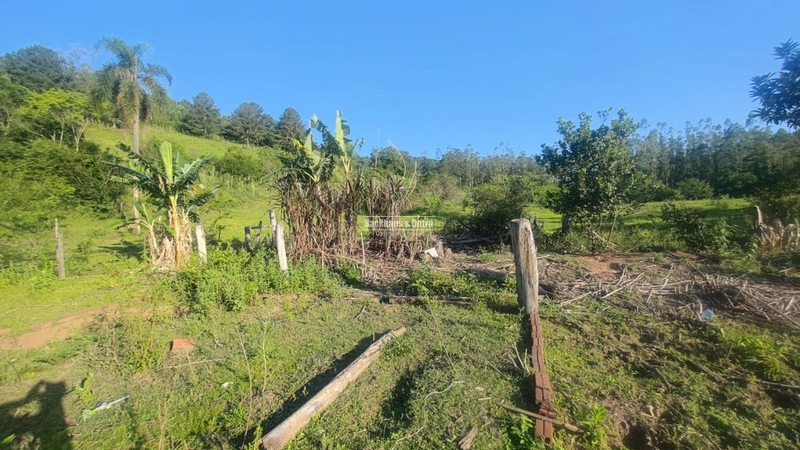 Rolante - 1.8 hectares - Linha Reichert: 6ª foto da galeria de imagens do imóvel
