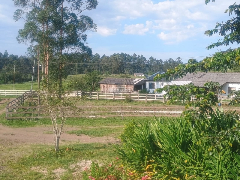 Santo Antônio da Patrulha - Fazenda - Monjolo: 8ª foto da galeria de imagens do imóvel