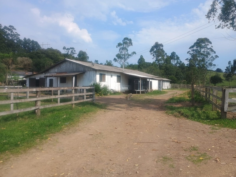 Santo Antônio da Patrulha - Fazenda - Monjolo: 5ª foto da galeria de imagens do imóvel