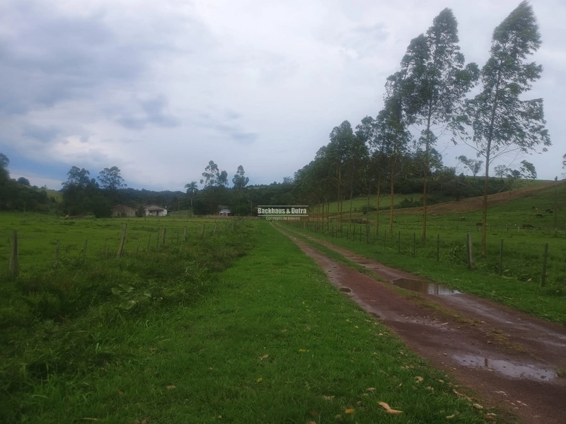Santo Antônio da Patrulha - Fazenda - Monjolo: 2ª foto da galeria de imagens do imóvel
