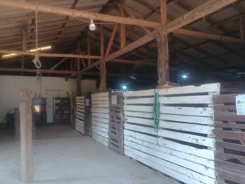 Santo Antônio da Patrulha - Fazenda - Monjolo: 10ª foto da galeria de imagens do imóvel