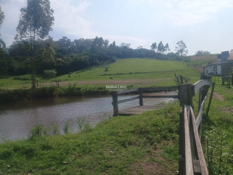 Santo Antônio da Patrulha - Fazenda - Monjolo: 9ª foto da galeria de imagens do imóvel