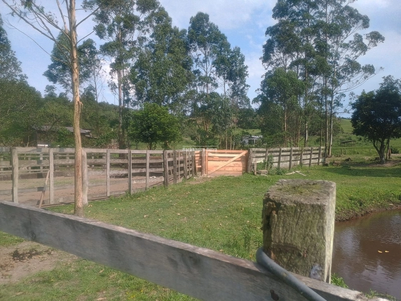 Santo Antônio da Patrulha - Fazenda - Monjolo: 12ª foto da galeria de imagens do imóvel