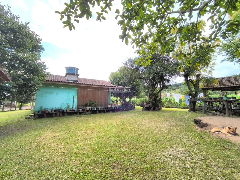 Rolante - Chácara de 1 Hectare próximo a RS239 em Campinas I: 10ª foto da galeria de imagens do imóvel