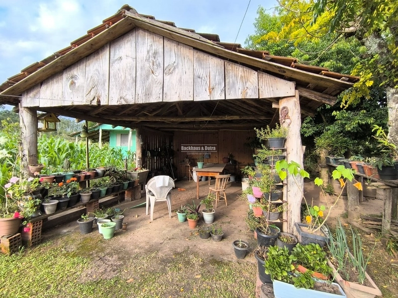Rolante - Chácara de 1 Hectare próximo a RS239 em Campinas I: 6ª foto da galeria de imagens do imóvel