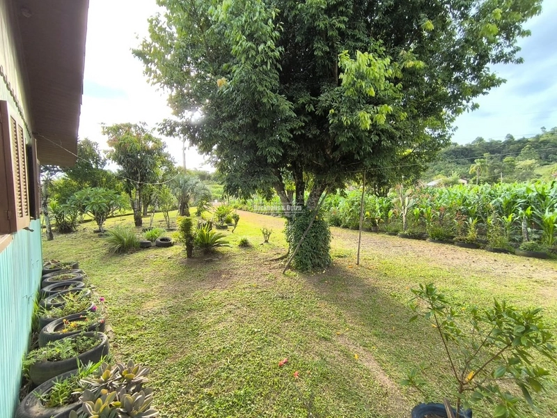 Rolante - Chácara de 1 Hectare próximo a RS239 em Campinas I: 4ª foto da galeria de imagens do imóvel