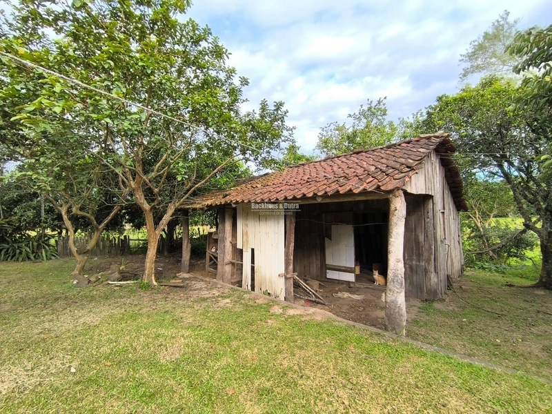 Rolante - Chácara de 1 Hectare próximo a RS239 em Campinas I: 9ª foto da galeria de imagens do imóvel