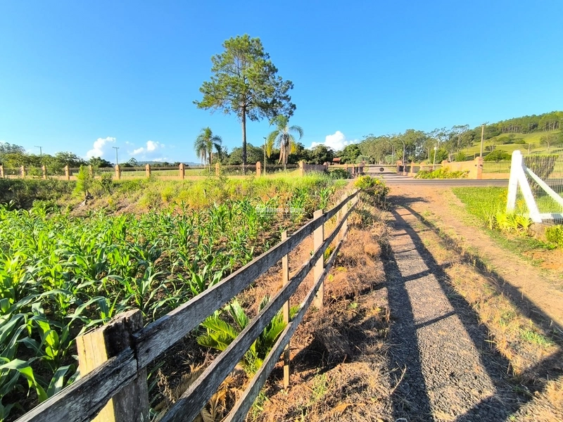 Rolante - Chácara 7.314M²- RS 239 KM 17: 12ª foto da galeria de imagens do imóvel