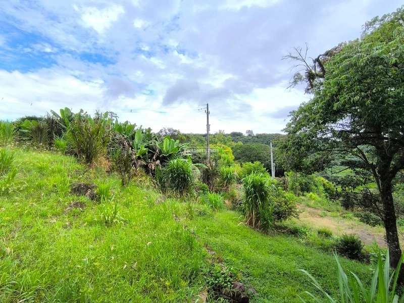 Rolante - Chácara 50.000M²- Água Branca: 2ª foto da galeria de imagens do imóvel