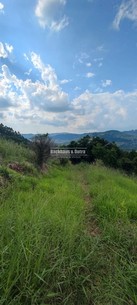 Rolante - 6 hectares - Linha Petry: 1ª foto da galeria de imagens do imóvel
