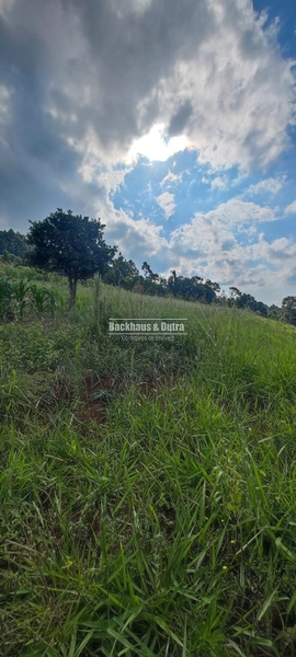 Rolante - 6 hectares - Linha Petry: 8ª foto da galeria de imagens do imóvel