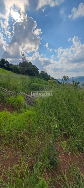 Rolante - 6 hectares - Linha Petry: 9ª foto da galeria de imagens do imóvel