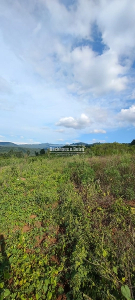 Rolante - 6 hectares - Linha Petry: 7ª foto da galeria de imagens do imóvel