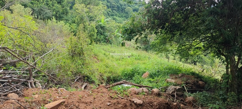 Rolante - 6 hectares - Linha Petry: 16ª foto da galeria de imagens do imóvel