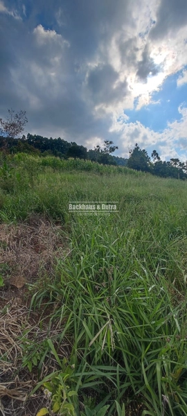 Rolante - 6 hectares - Linha Petry: 6ª foto da galeria de imagens do imóvel