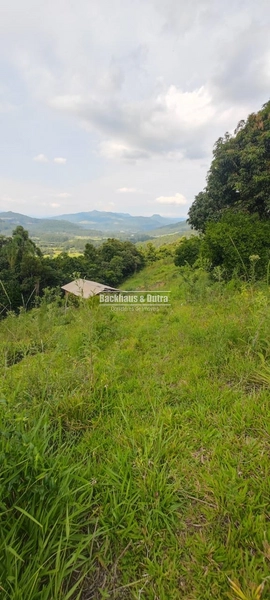Rolante - 6 hectares - Linha Petry: 11ª foto da galeria de imagens do imóvel