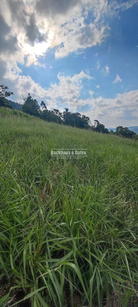 Rolante - 6 hectares - Linha Petry: 5ª foto da galeria de imagens do imóvel