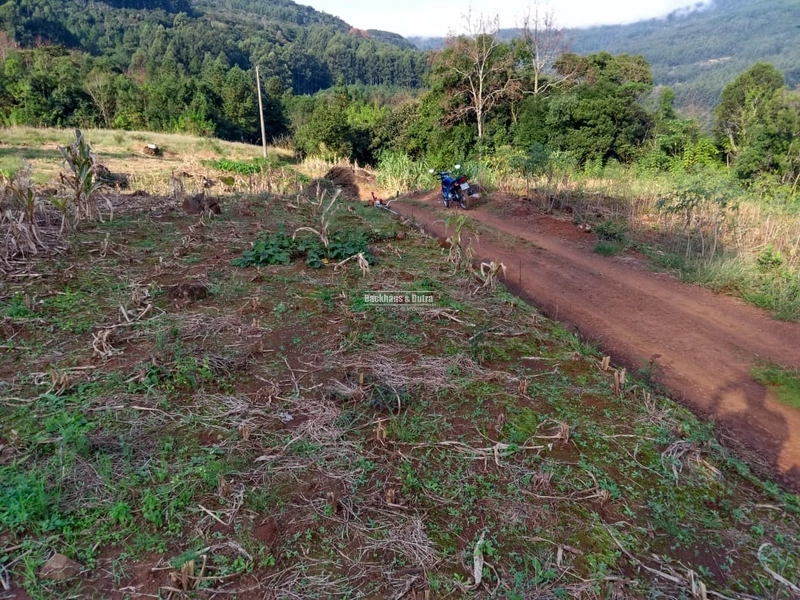 Rolante - Chácara 1,6 hectares - Próximo a Cascata: 2ª foto da galeria de imagens do imóvel