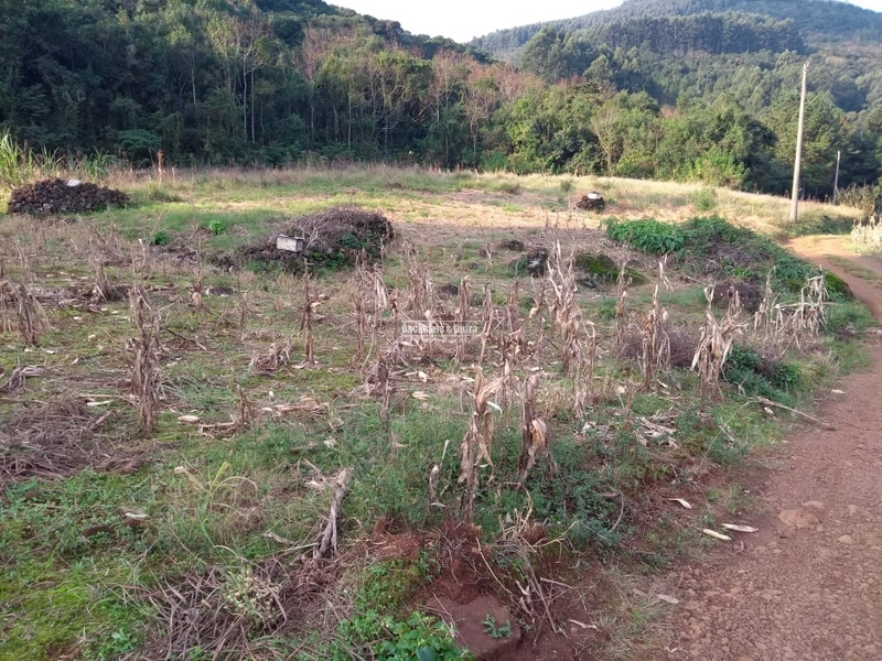 Rolante - Chácara 1,6 hectares - Próximo a Cascata: 1ª foto da galeria de imagens do imóvel