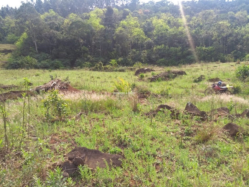 Rolante - Chácara 1,6 hectares - Próximo a Cascata: 5ª foto da galeria de imagens do imóvel