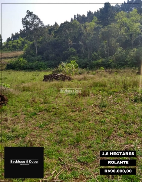 Rolante - Chácara 1,6 hectares - Próximo a Cascata: 6ª foto da galeria de imagens do imóvel