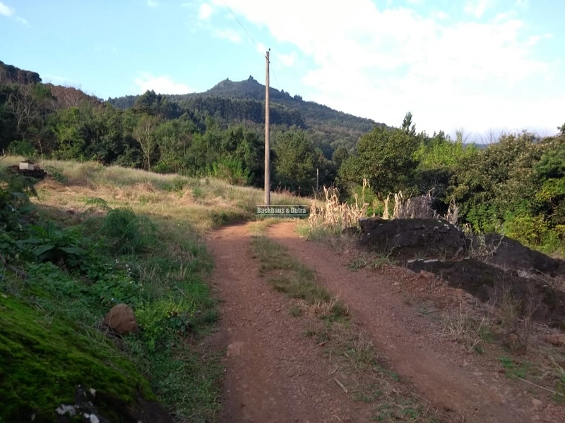 Rolante - Chácara 1,6 hectares - Próximo a Cascata: 3ª foto da galeria de imagens do imóvel