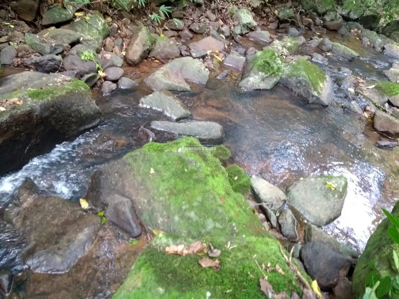 Rolante - Chácara 1,6 hectares - Próximo a Cascata: 8ª foto da galeria de imagens do imóvel