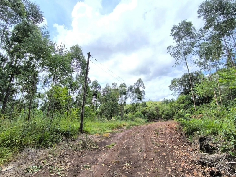 Rolante - Chácara 2,1 hectares - Morro Grande: 9ª foto da galeria de imagens do imóvel