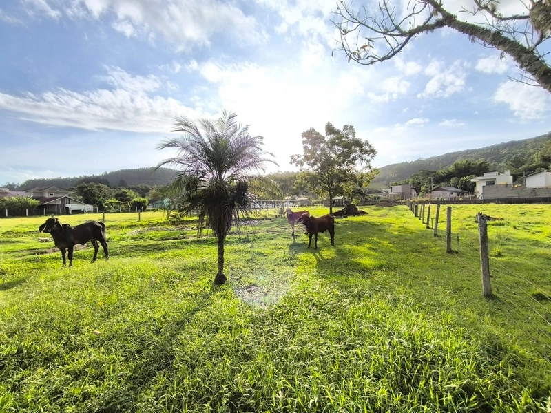 Terreno de 2.417M² área central de Rolante: 7ª foto da galeria de imagens do imóvel