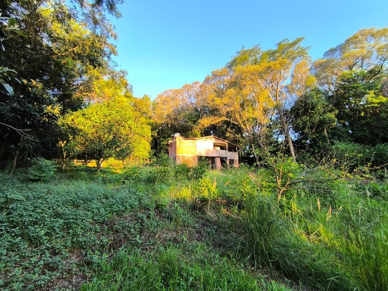 Rolante - Chácara 2.015m²- Glória.: 6ª foto da galeria de imagens do imóvel