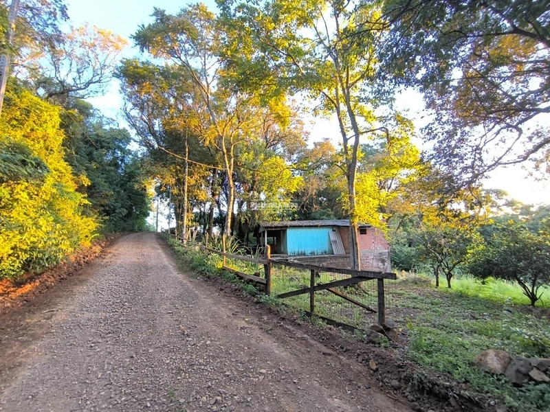 Rolante - Chácara 2.015m²- Glória.: 4ª foto da galeria de imagens do imóvel