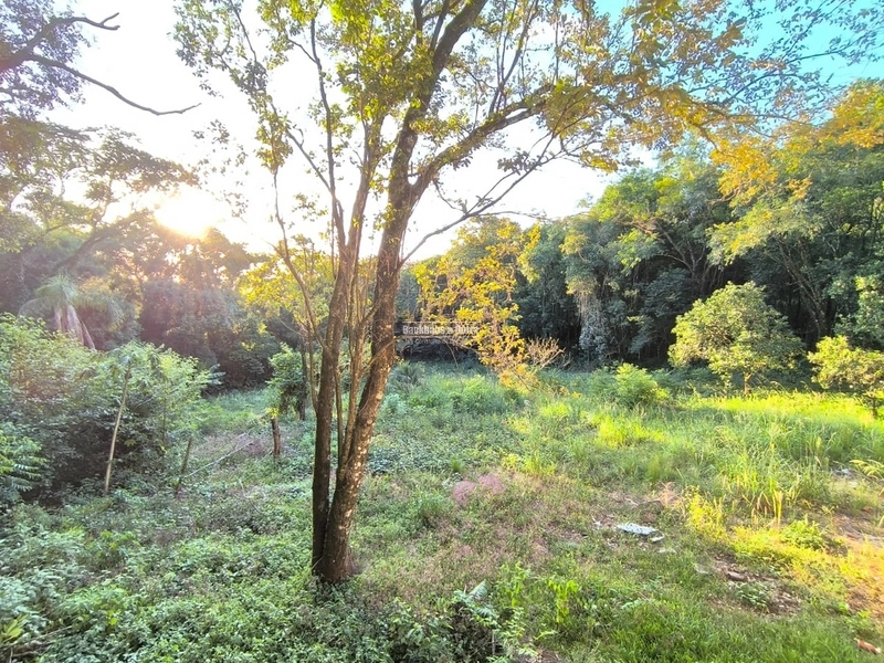 Rolante - Chácara 2.015m²- Glória.: 1ª foto da galeria de imagens do imóvel