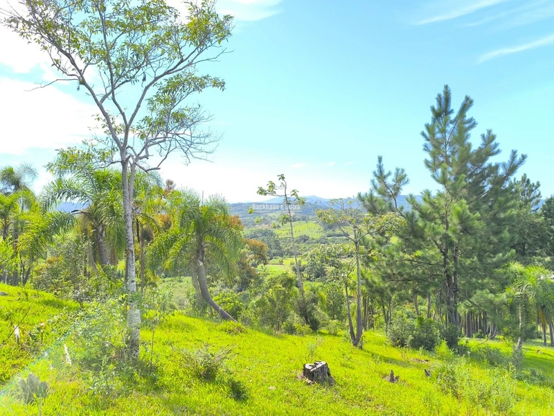 Rolante - Chácara 30.700M²- Campinas 1: 12ª foto da galeria de imagens do imóvel