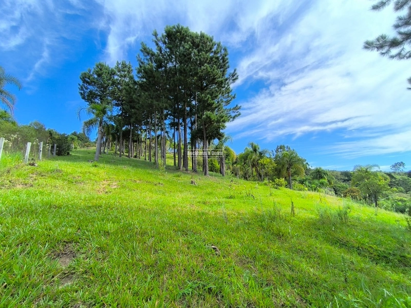 Rolante - Chácara 30.700M²- Campinas 1: 9ª foto da galeria de imagens do imóvel