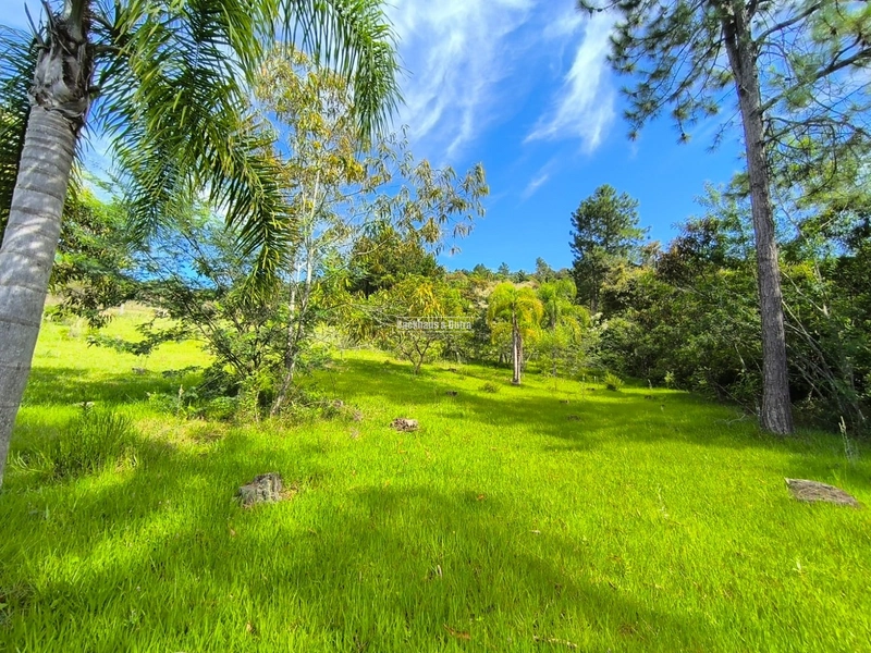 Rolante - Chácara 30.700M²- Campinas 1: 8ª foto da galeria de imagens do imóvel