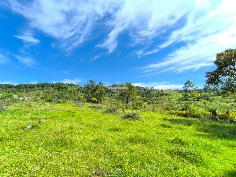 Rolante - Chácara 30.700M²- Campinas 1: 6ª foto da galeria de imagens do imóvel