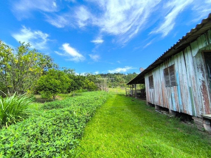 Rolante - Chácara 30.700M²- Campinas 1: 7ª foto da galeria de imagens do imóvel