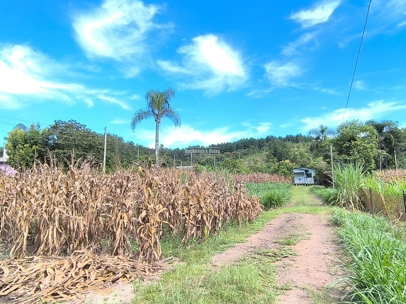 Rolante - Chácara 30.700M²- Campinas 1: 3ª foto da galeria de imagens do imóvel