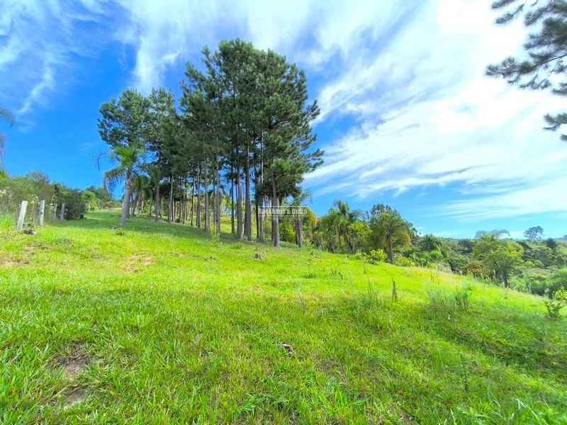 Rolante - Chácara 30.700M²- Campinas 1: 14ª foto da galeria de imagens do imóvel